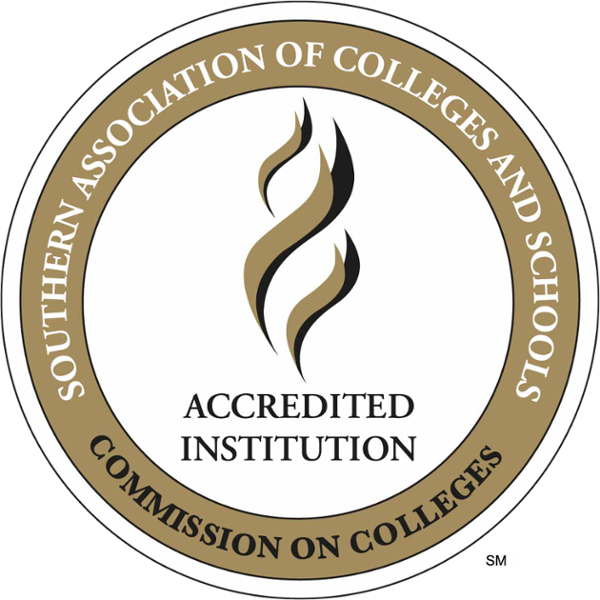 Excellence badge